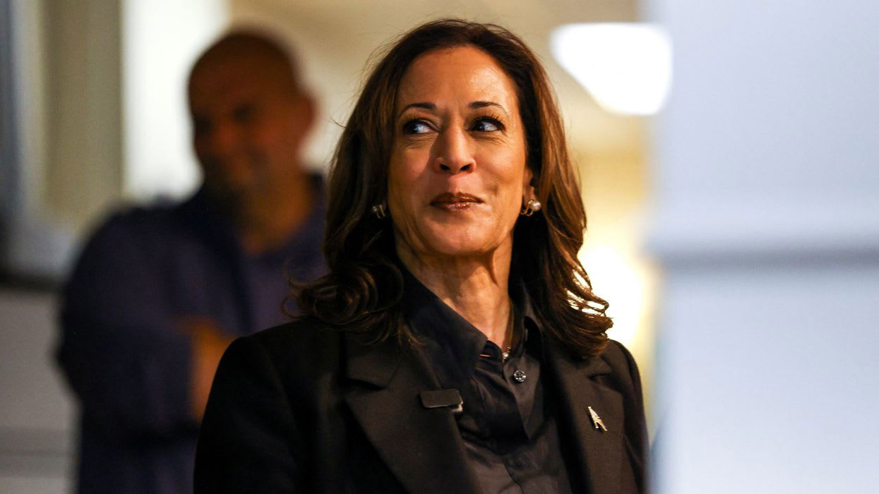 Federal Election Monitors Clash with Minnesota Democrats in High-Stakes Primary