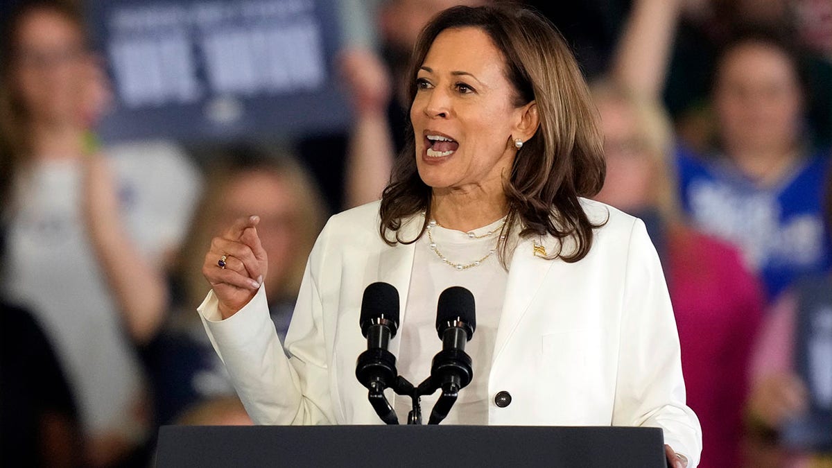 Harris and El-Sayed Clash With Michigan Voters Over Inflation and Trump