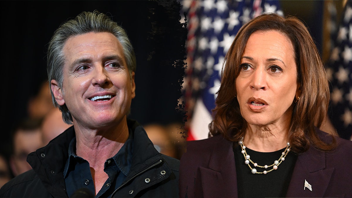 Private Warnings Mount Against Harris’ Potential Third Presidential Run